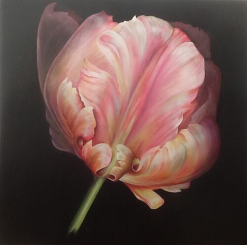Tentoonstelling Flower Power – Beatrix Frederiks